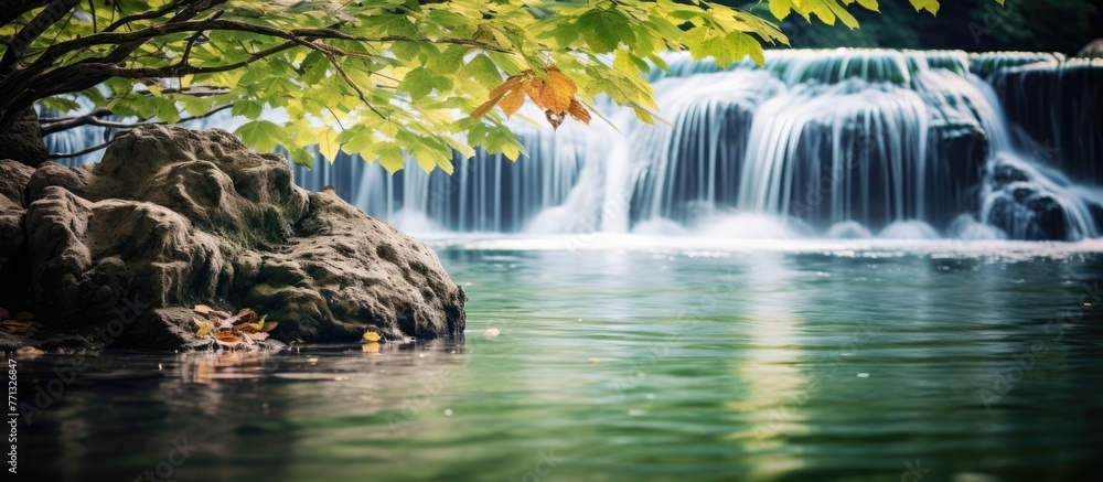 Poster a serene waterfall in the midst of a dense jungle, with vibrant green leaves and rugged rocks creati