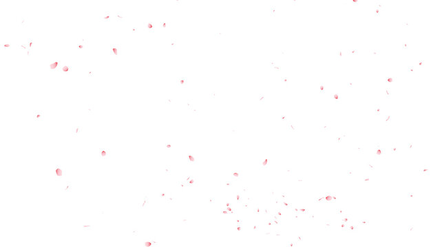 桜吹雪：桜の花びらイラスト