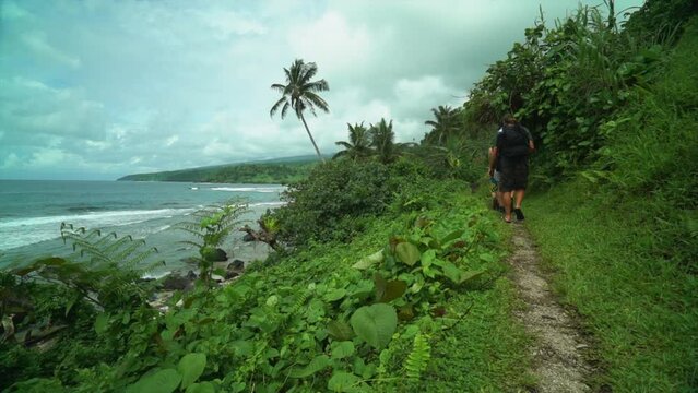 Fijian Tavarua Wainibau Falls waterfalls jungle rainforest people Costal walking Taveuni Garden Island rainbow reef coral coast palm trees sunny rainy cloudy stunning Tourism Fiji static shot