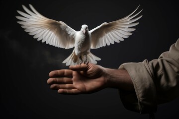 Hands holding gun and dove