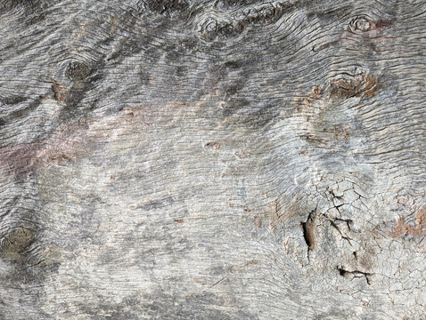 Texture of ancient wooden beam on a door, Najera village, La Rioja, Spain