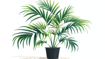 Green indoor decorative plant exotic palm tree vector