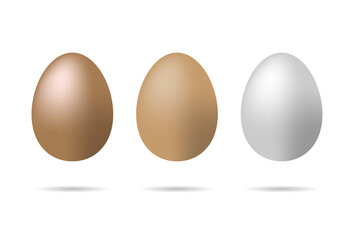 Set of realistic white , dark and light brown chicken eggs. Realistic eggs.