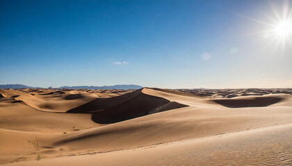 Fototapeta na wymiar A vast desert expanse with rolling dunes under a sunny sky