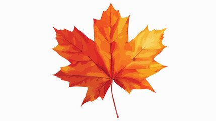 Maple leaf of canada design flat vector isolated on white