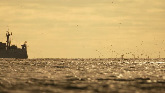 Abstract sea ocean sunset nature background with seagulls and fishing boat trawler catches fish while sailing on sea at horizon in distance sail to catch school of fish on calm sea surface in summer.