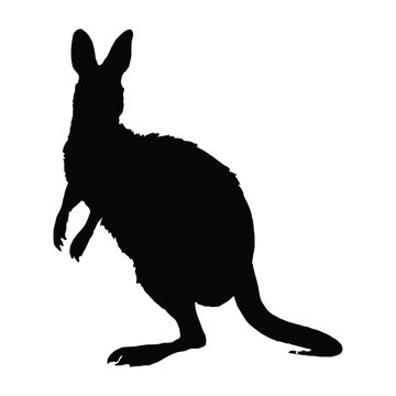 recommend clip art: Wallaby Silhouette