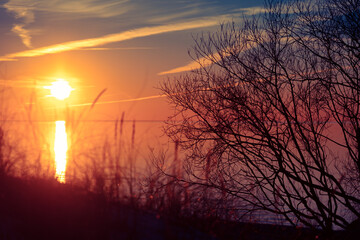 A beautiful spring sunset landscape at the Baltic sea beach with bare bush silhouettes against the colorful sky. Seaside scenery in Northern Europe.