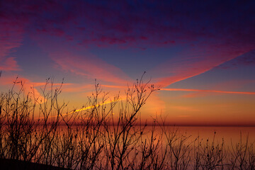 A beautiful spring sunset landscape at the Baltic sea beach with bare bush silhouettes against the...