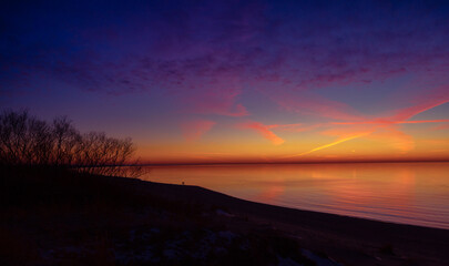 A beautiful spring sunset landscape at the Baltic sea beach with bare bush silhouettes against the...