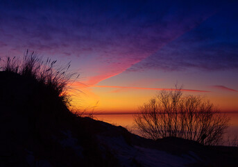 A beautiful spring sunset landscape at the Baltic sea beach with bare bush silhouettes against the colorful sky. Seaside scenery in Northern Europe.