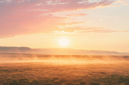wide angle shot, a desert sunset with fog, golden pink color palette, soft tones