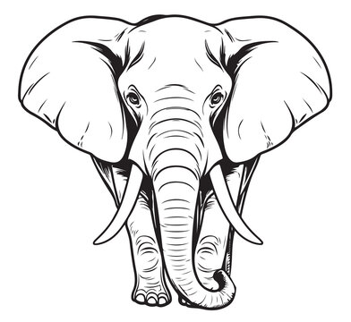 Elephant standing sketch hand drawn in doodle style Cartoon Vector illustration