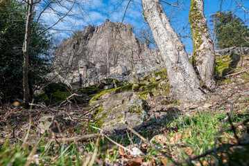 Fototapete bei efototapeten.de bestellen   