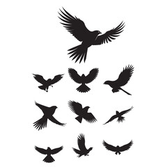 Hawk bird silhouette vector set ,hawk bird logo