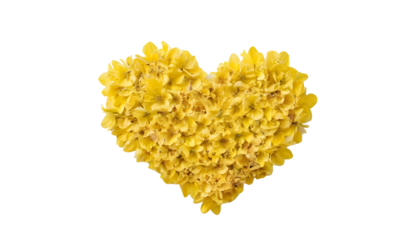 heart shaped yellow flowers  