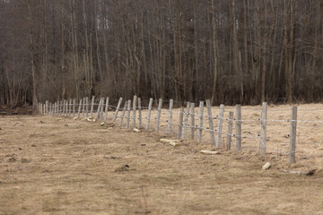 An early spring landscape of a meadow with wooden electric fence. NAtural rural scenery of Northern Europe. - 771389215