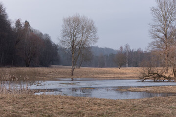 A beautiful early spring landscape with a river. Natural rural scenery of Northern Europe.