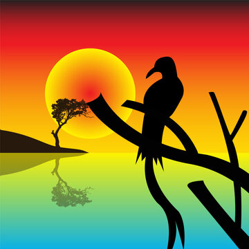 bird silhouette with sunset, sunset background, beautiful afternoon theme