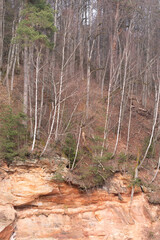 A beautiful sandstone cliffs at the river in Gauja National Park, Latvia. Springtime landscape of Northern Europe. - 771395255