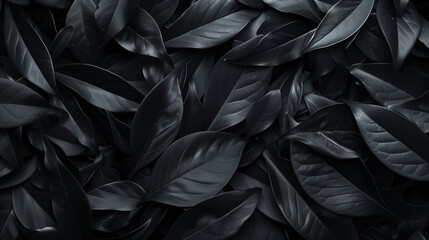 black leaves