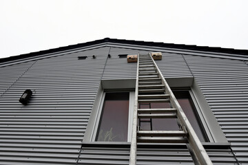 Leiter zum Anbringen von Mauersegler-Nistkasten an einer Hausfassade