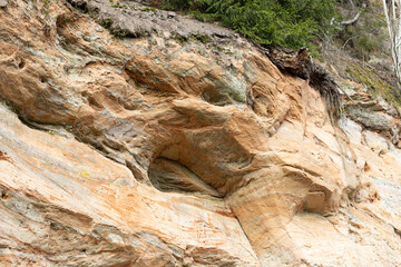 Fototapeta na wymiar A beautiful sandstone cliff wall with small caves in Gauja National Park, Latvia. Springtime scenery in Northern Europe.