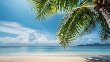 Tropical summer background with palm leaf and blue sky. Tourism and travel concept.