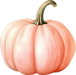 Watercolor pumpkin - 771403052