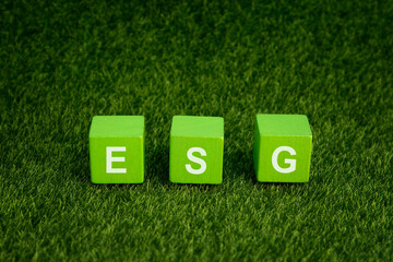 ESG , Environmental Social Governance , Sustainable Concept