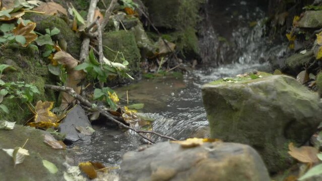 Water flowing In a Stream with rocks in Autumn