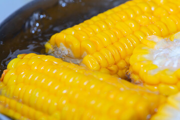 Boiled corn on the cob in the pan, close-up