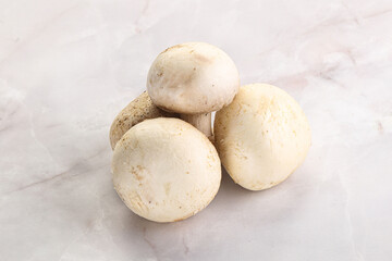 Fototapeta premium Natural organic ripe champignon mushrooms