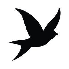 silhouette of swallow bird on white