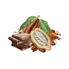 Watercolor illustration of chocolate, cocoa ingredients with cocoa beans, fresh cocoa pods and cocoa mass.