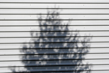 Shadow of Leafy Tree on Window Blinds in Close Up  
