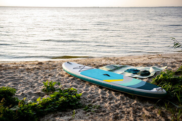 sup paddle board on the lake coast - obrazy, fototapety, plakaty