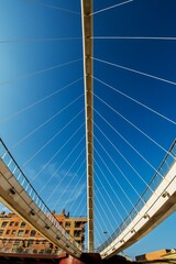 Fototapeta premium bridge over the river