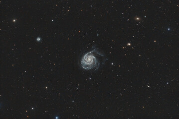 Galassia M101 - obrazy, fototapety, plakaty