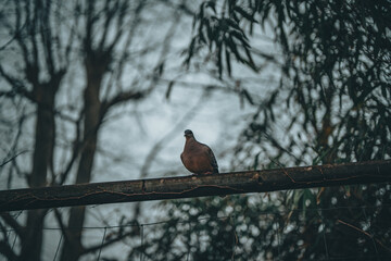 서울 어린이 대공원 작은 풍경들