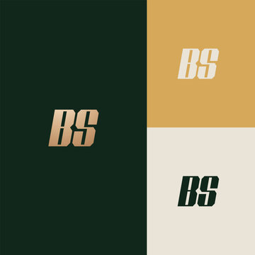 BS logo design vector image