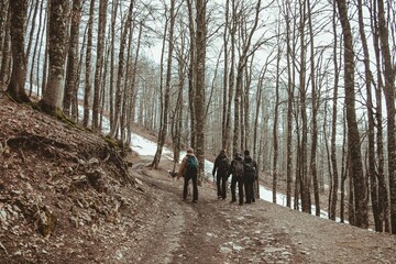 Group of young hikers walk together with their Czechoslovakian wolf dogs in the middle of a mountain trail with snow during the winter season