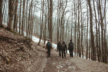 Group of young hikers walk together with their Czechoslovakian wolf dogs in the middle of a mountain trail with snow during the winter season
