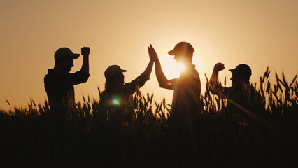 A group of young farmers makes the mark high five in a field of wheat. Success in agribusiness