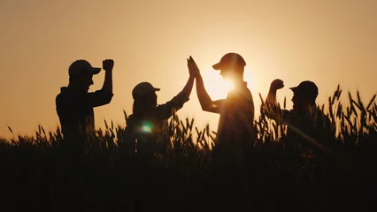Foto op Plexiglas A group of young farmers makes the mark high five in a field of wheat. Success in agribusiness © StockMediaProduction