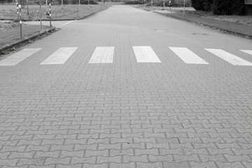 crosswalk on empty road - obrazy, fototapety, plakaty