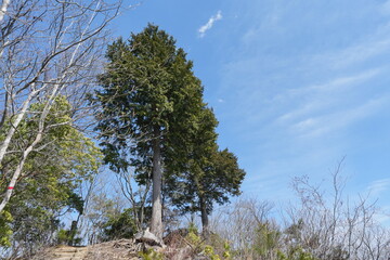 Mt. Shoto