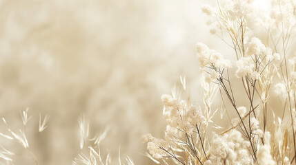 Neutral Toned Dry Grass Background. Soft Beige Wildflowers in Delicate Light - obrazy, fototapety, plakaty