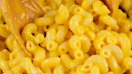 pasta with cheese sauce, close up
