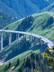 Guozigou Bridge in the forest